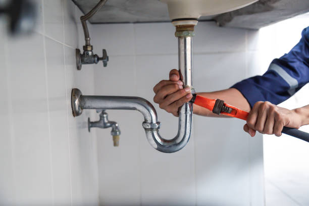 Best Clogged Drain Plumber  in Northumberland, PA